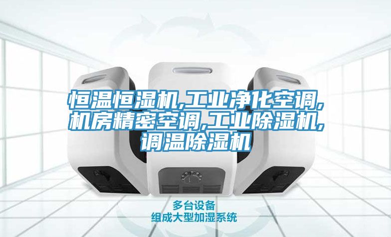 恒溫恒濕機,工業(yè)凈化空調,機房精密空調,工業(yè)除濕機,調溫除濕機