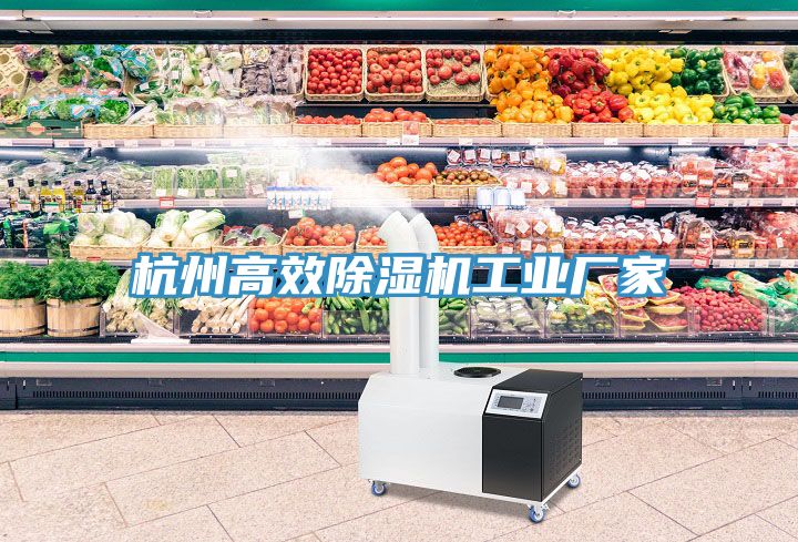 杭州高效除濕機工業(yè)廠(chǎng)家