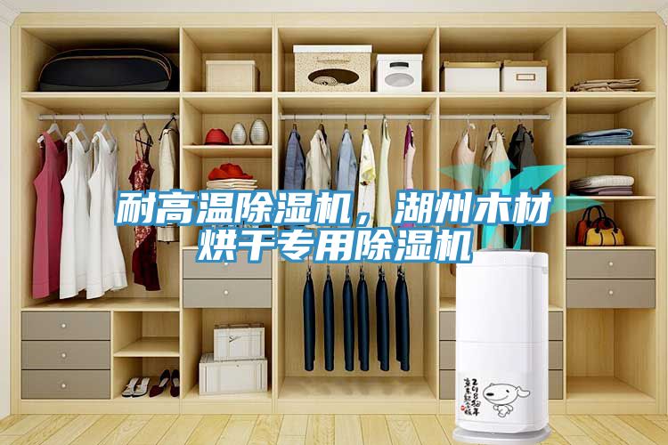 耐高溫除濕機，湖州木材烘干專(zhuān)用除濕機