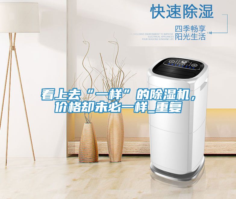 看上去“一樣”的除濕機，價(jià)格卻未必一樣_重復
