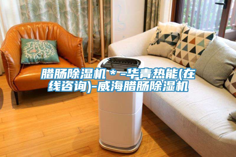 臘腸除濕機＊-華青熱能(在線(xiàn)咨詢(xún))-威海臘腸除濕機