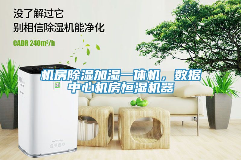 機房除濕加濕一體機，數據中心機房恒濕機器