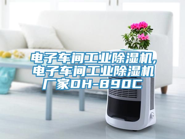 電子車(chē)間工業(yè)除濕機,電子車(chē)間工業(yè)除濕機廠(chǎng)家DH-890C