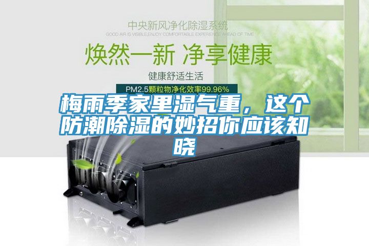 梅雨季家里濕氣重，這個(gè)防潮除濕的妙招你應該知曉