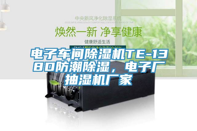 電子車(chē)間除濕機TE-138D防潮除濕，電子廠(chǎng)抽濕機廠(chǎng)家