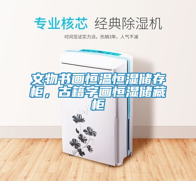 文物書(shū)畫(huà)恒溫恒濕儲存柜，古籍字畫(huà)恒濕儲藏柜