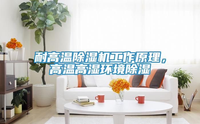 耐高溫除濕機工作原理，高溫高濕環(huán)境除濕