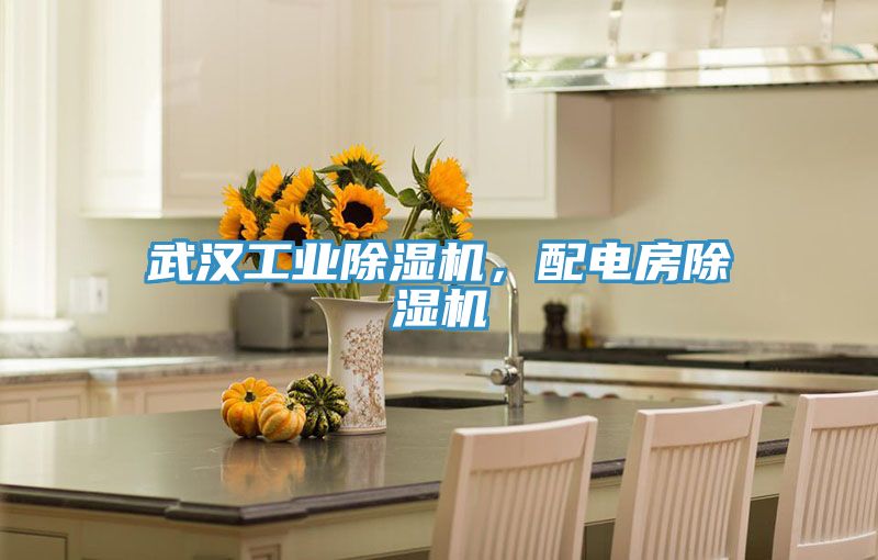 武漢工業(yè)除濕機，配電房除濕機