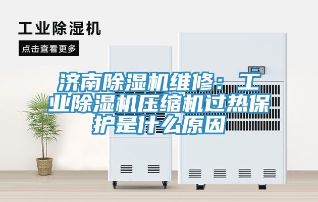 濟南除濕機維修：工業(yè)除濕機壓縮機過(guò)熱保護是什么原因