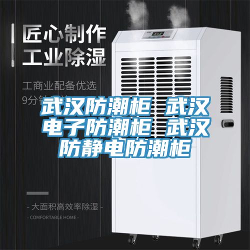 武漢防潮柜 武漢電子防潮柜 武漢防靜電防潮柜