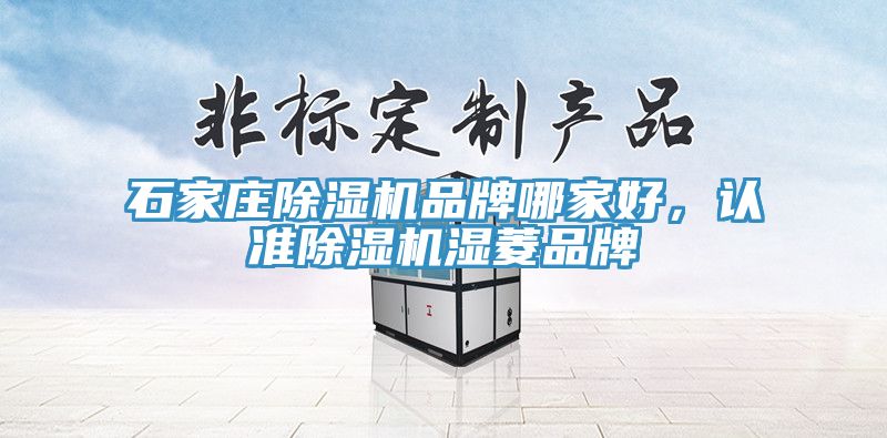 石家莊除濕機品牌哪家好，認準除濕機濕菱品牌