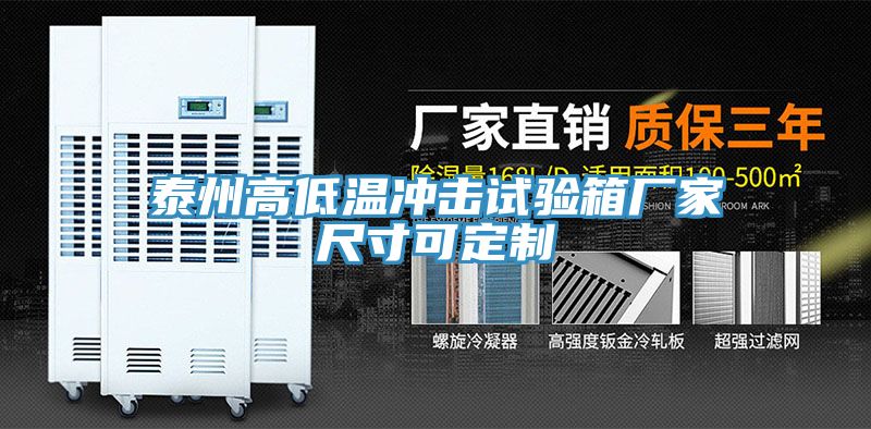 泰州高低溫沖擊試驗箱廠(chǎng)家尺寸可定制