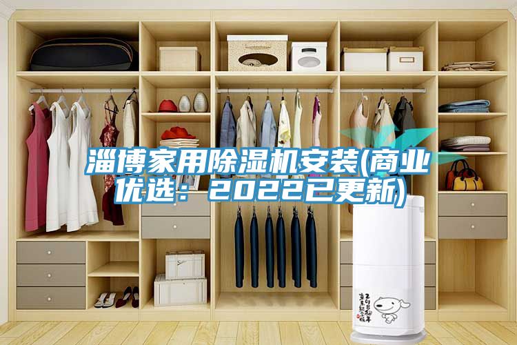 淄博家用除濕機安裝(商業(yè)優(yōu)選：2022已更新)