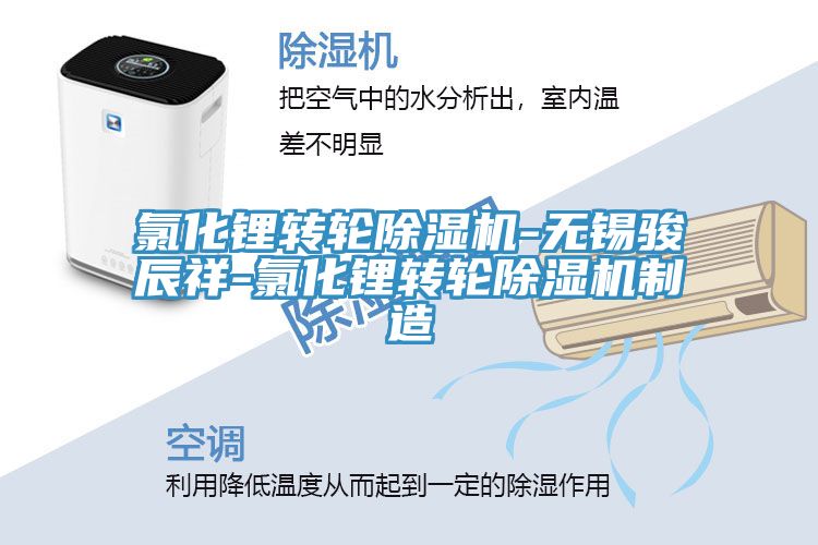 氯化鋰轉輪除濕機-無(wú)錫駿辰祥-氯化鋰轉輪除濕機制造