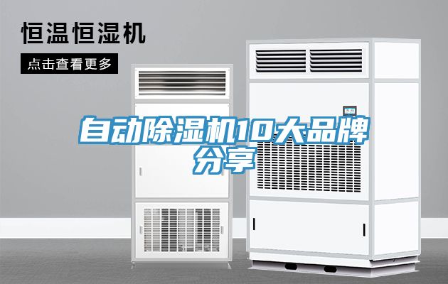 自動(dòng)除濕機10大品牌分享