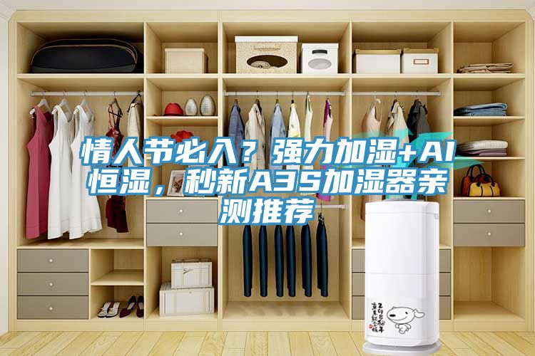情人節必入？強力加濕+AI恒濕，秒新A3S加濕器親測推薦