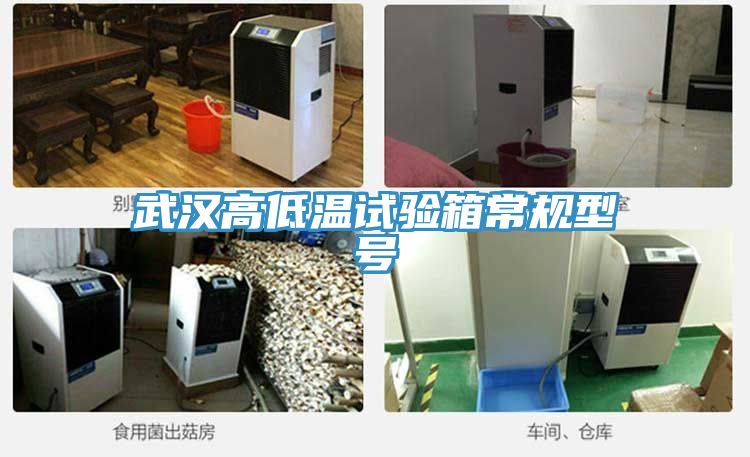 武漢高低溫試驗箱常規型號