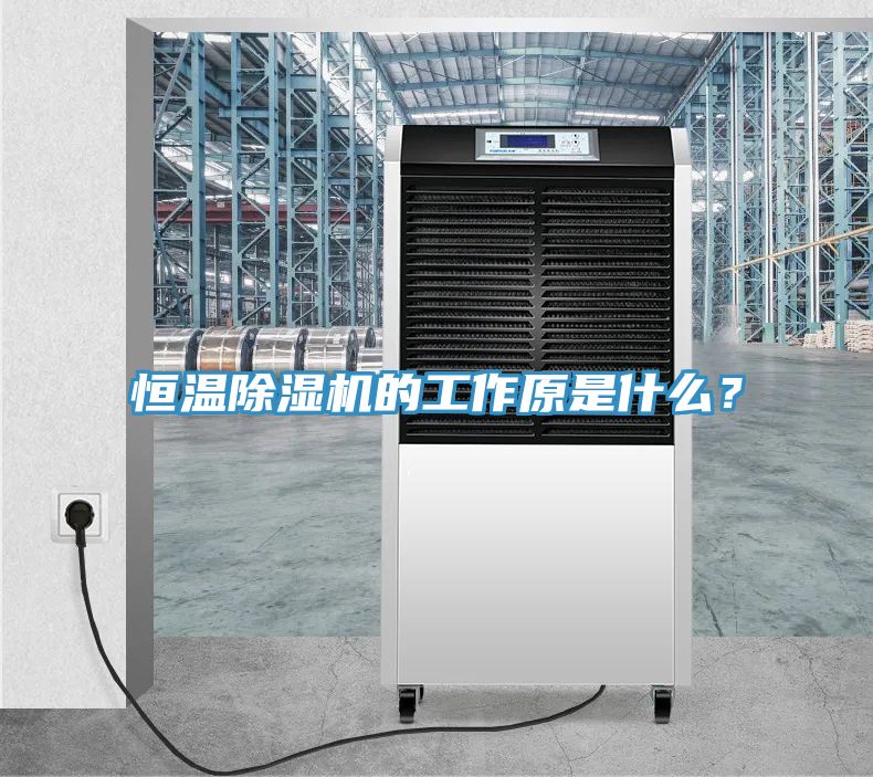 恒溫除濕機的工作原是什么？