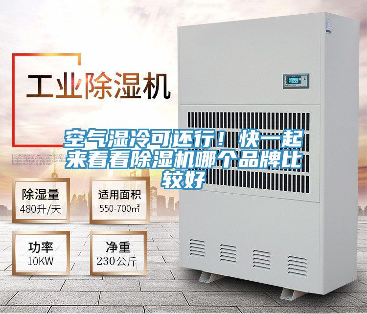 空氣濕冷可還行！快一起來(lái)看看除濕機哪個(gè)品牌比較好