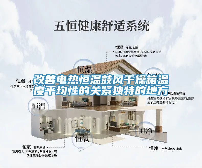 改善電熱恒溫鼓風(fēng)干燥箱溫度平均性的關(guān)緊獨特的地方