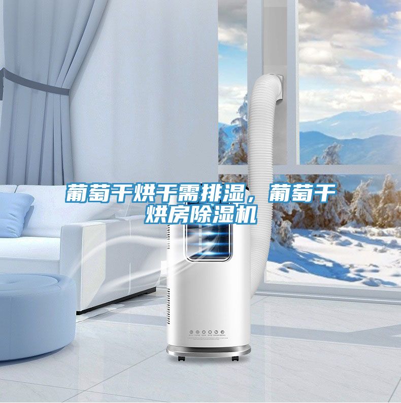 葡萄干烘干需排濕，葡萄干烘房除濕機
