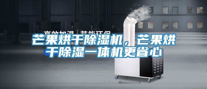 芒果烘干除濕機，芒果烘干除濕一體機更省心