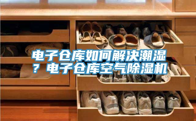 電子倉庫如何解決潮濕？電子倉庫空氣除濕機
