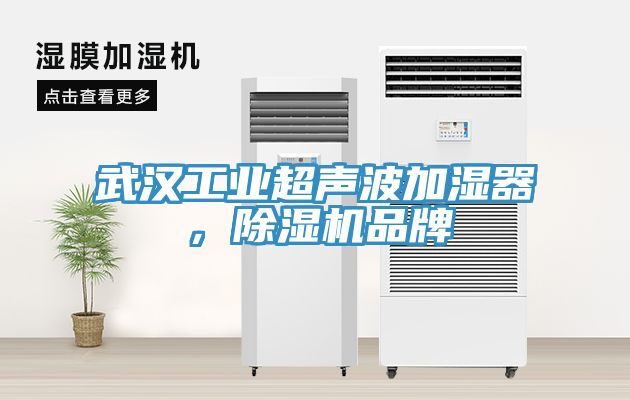 武漢工業(yè)超聲波加濕器，除濕機品牌