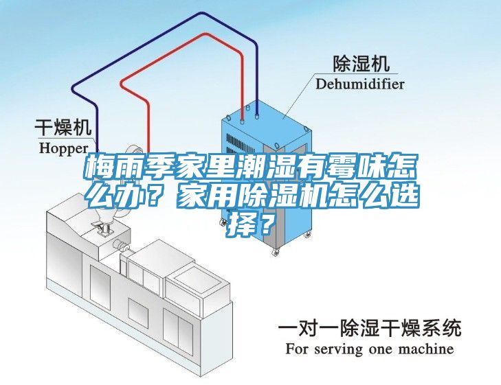 梅雨季家里潮濕有霉味怎么辦？家用除濕機怎么選擇？