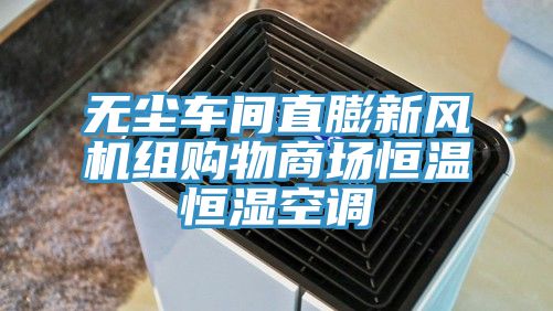 無(wú)塵車(chē)間直膨新風(fēng)機組購物商場(chǎng)恒溫恒濕空調