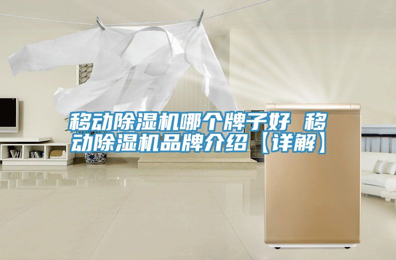 移動(dòng)除濕機哪個(gè)牌子好 移動(dòng)除濕機品牌介紹【詳解】