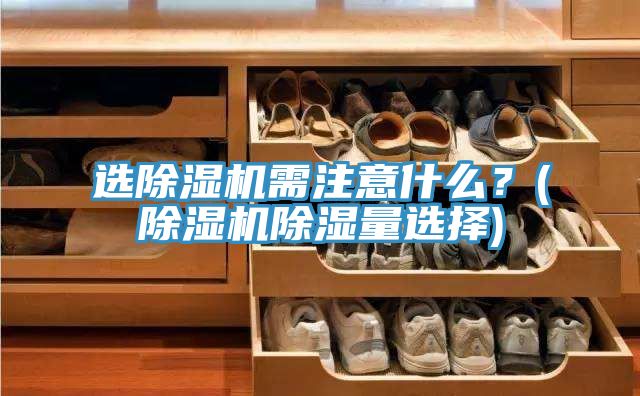 選除濕機需注意什么？(除濕機除濕量選擇)