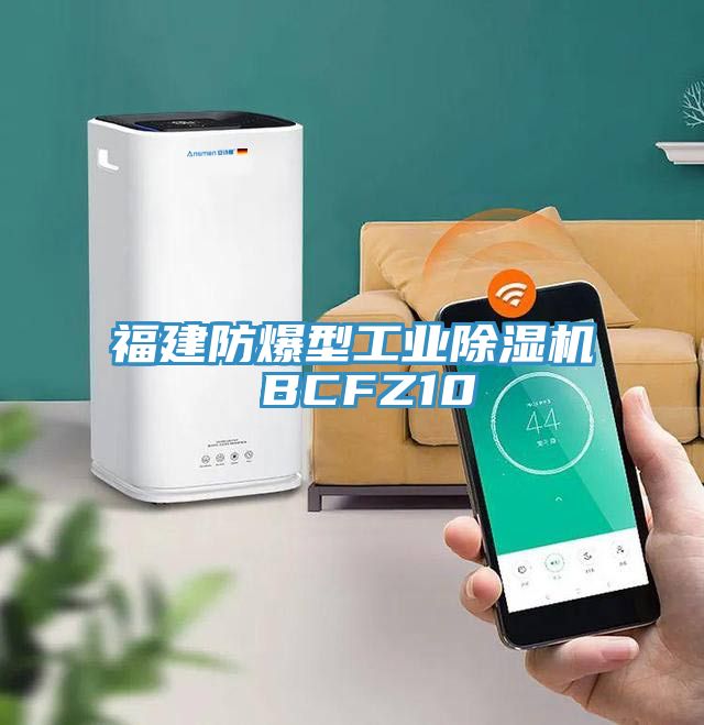 福建防爆型工業(yè)除濕機 BCFZ10