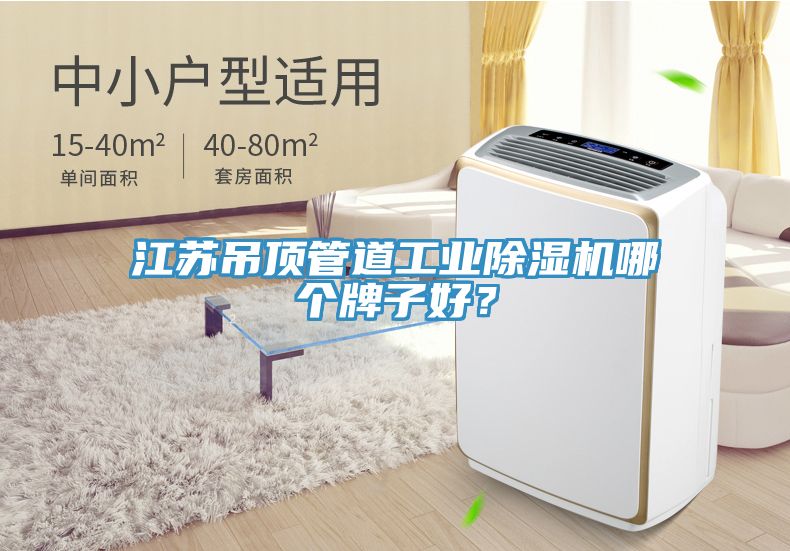 江蘇吊頂管道工業(yè)除濕機哪個(gè)牌子好？