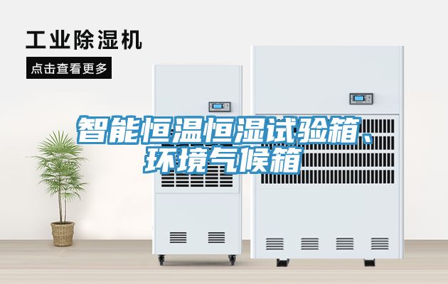 智能恒溫恒濕試驗箱、環(huán)境氣候箱