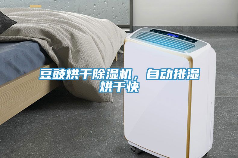 豆豉烘干除濕機，自動(dòng)排濕烘干快