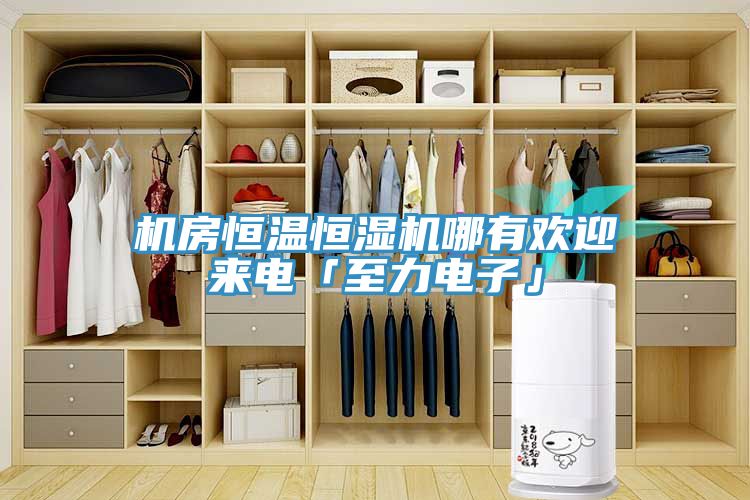 機房恒溫恒濕機哪有歡迎來(lái)電「至力電子」