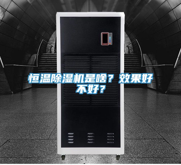 恒溫除濕機是啥？效果好不好？