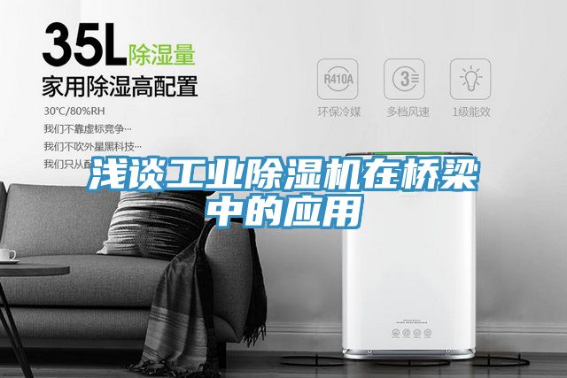 淺談工業(yè)除濕機在橋梁中的應用