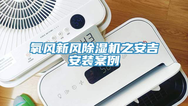 氧風(fēng)新風(fēng)除濕機之安吉安裝案例