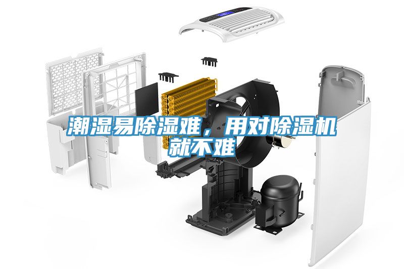 潮濕易除濕難，用對除濕機就不難