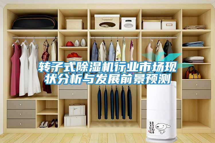 轉子式除濕機行業(yè)市場(chǎng)現狀分析與發(fā)展前景預測