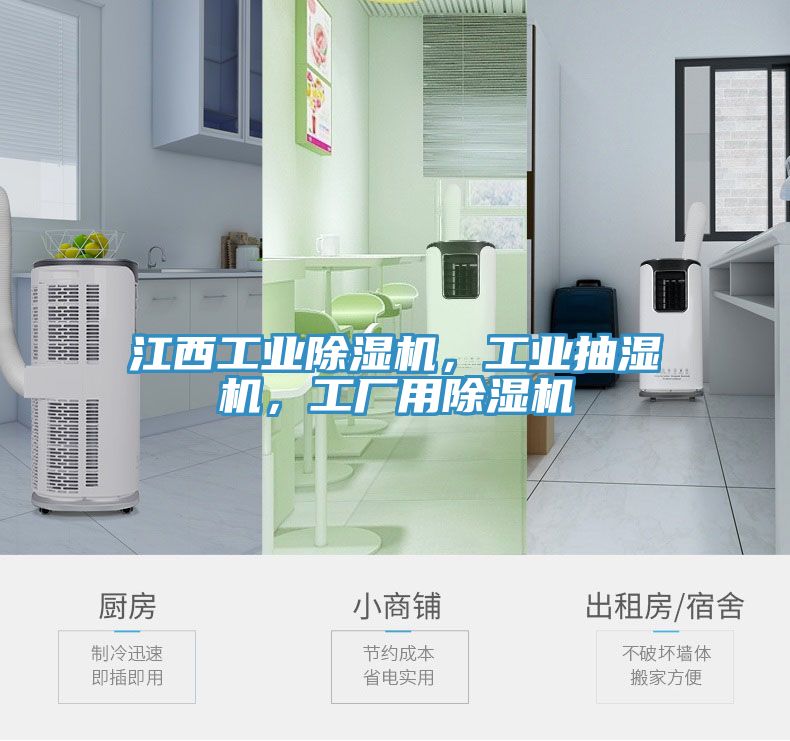 江西工業(yè)除濕機，工業(yè)抽濕機，工廠(chǎng)用除濕機
