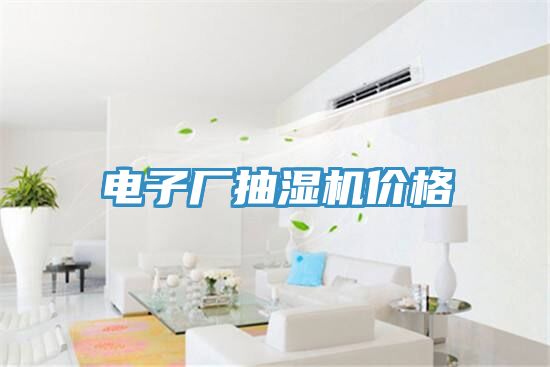 電子廠(chǎng)抽濕機價(jià)格