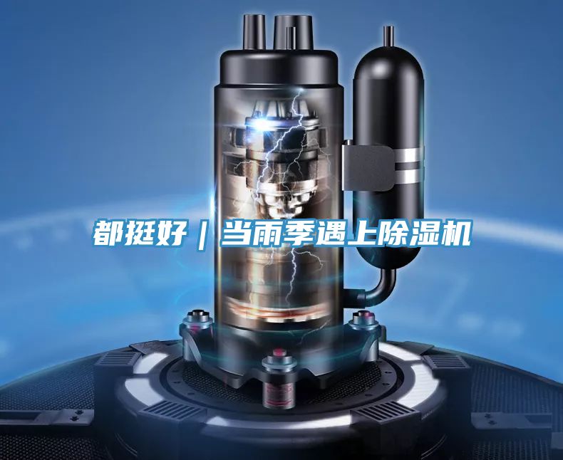 都挺好｜當雨季遇上除濕機
