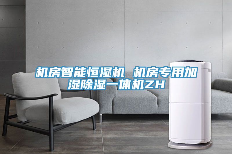 機房智能恒濕機 機房專(zhuān)用加濕除濕一體機ZH