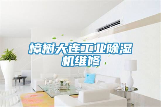 樟樹(shù)大連工業(yè)除濕機維修