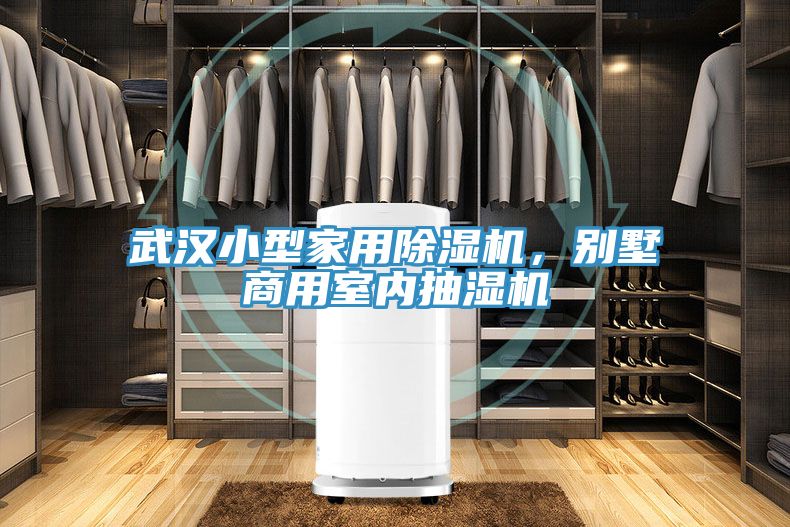 武漢小型家用除濕機，別墅商用室內抽濕機