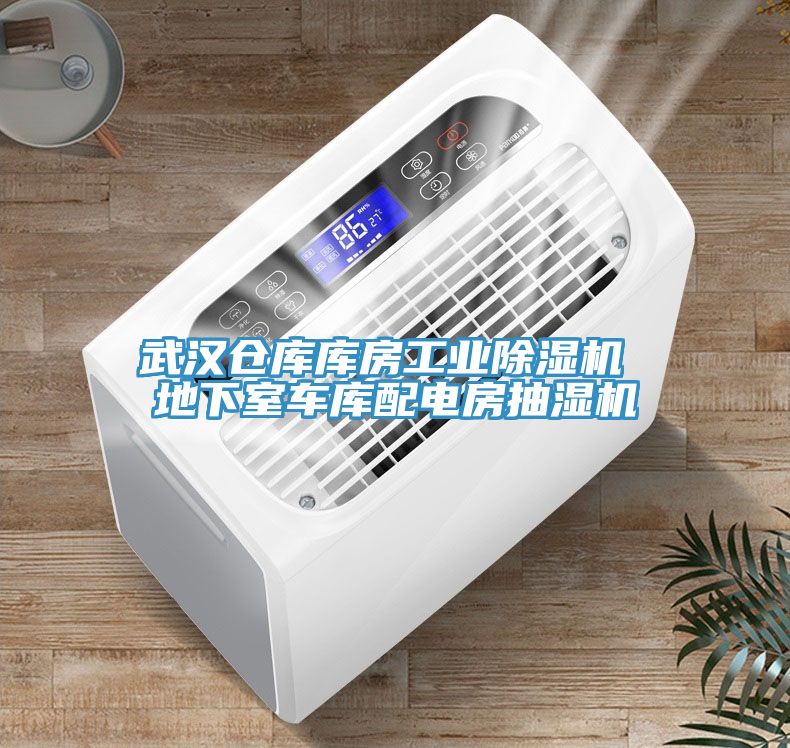 武漢倉庫庫房工業(yè)除濕機 地下室車(chē)庫配電房抽濕機