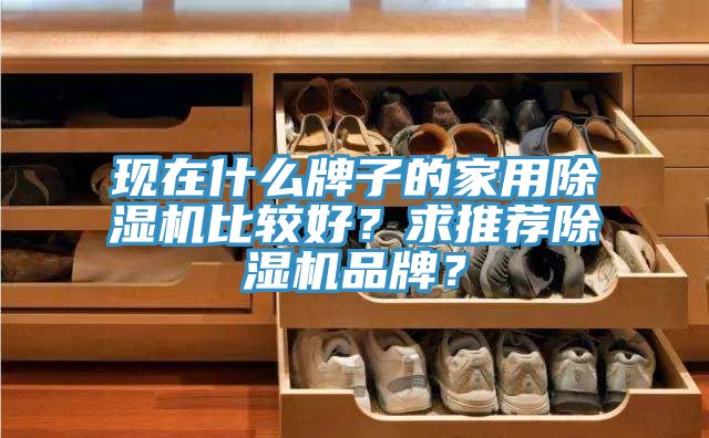 現在什么牌子的家用除濕機比較好？求推薦除濕機品牌？